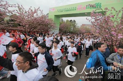 文旅融合新篇章 十二金釵大觀園旅游文化節(jié)啟幕，千名跑友共助南川'雙曬'與文藝創(chuàng)作開(kāi)發(fā)